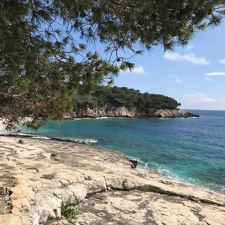 Sunrise Sunset Seaview Walk To Vis Iconic Beaches شقة